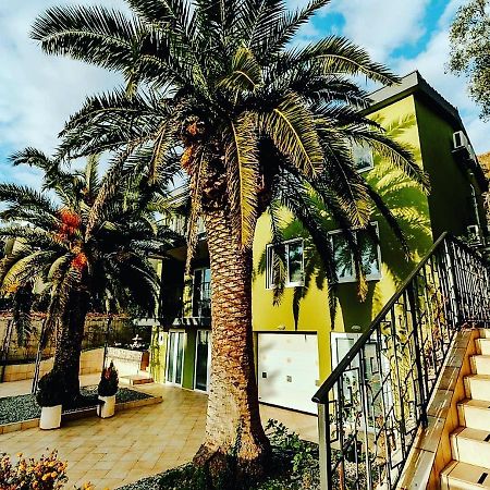 Palm Point Apartment Petrovac エクステリア 写真