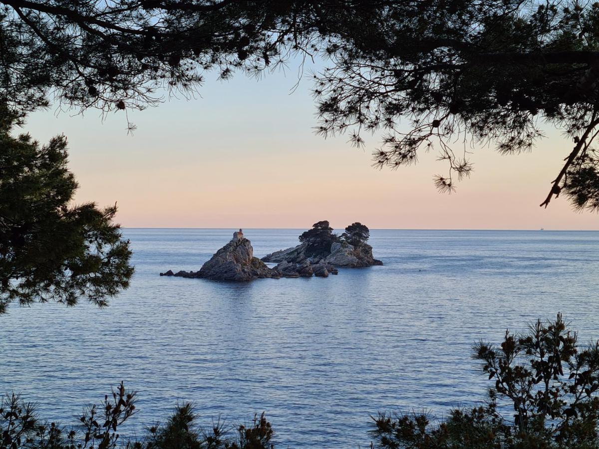 Palm Point Apartment Petrovac エクステリア 写真