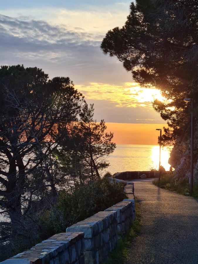 Palm Point Apartment Petrovac エクステリア 写真