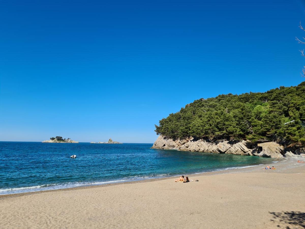Palm Point Apartment Petrovac エクステリア 写真