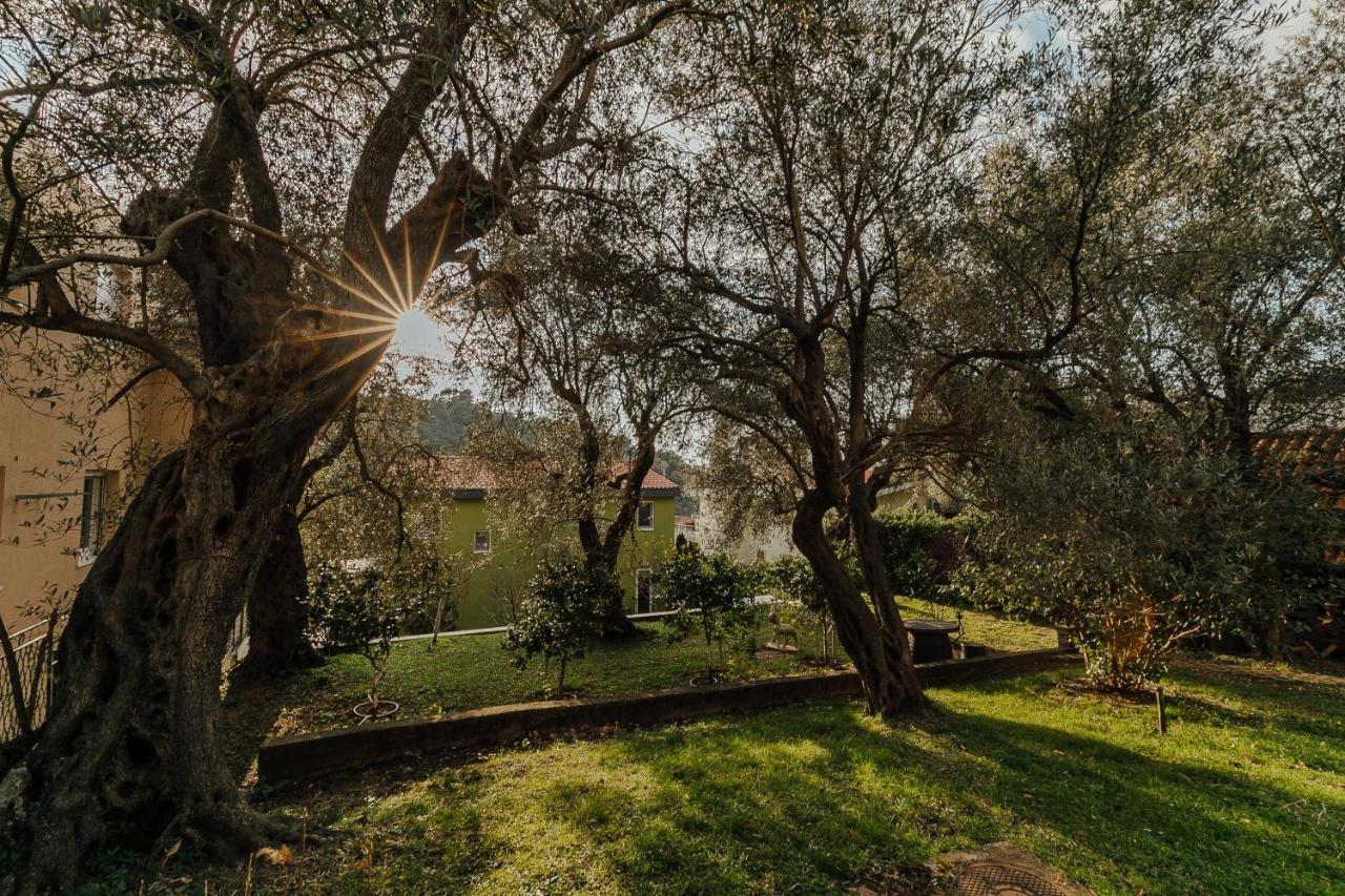 Palm Point Apartment Petrovac エクステリア 写真
