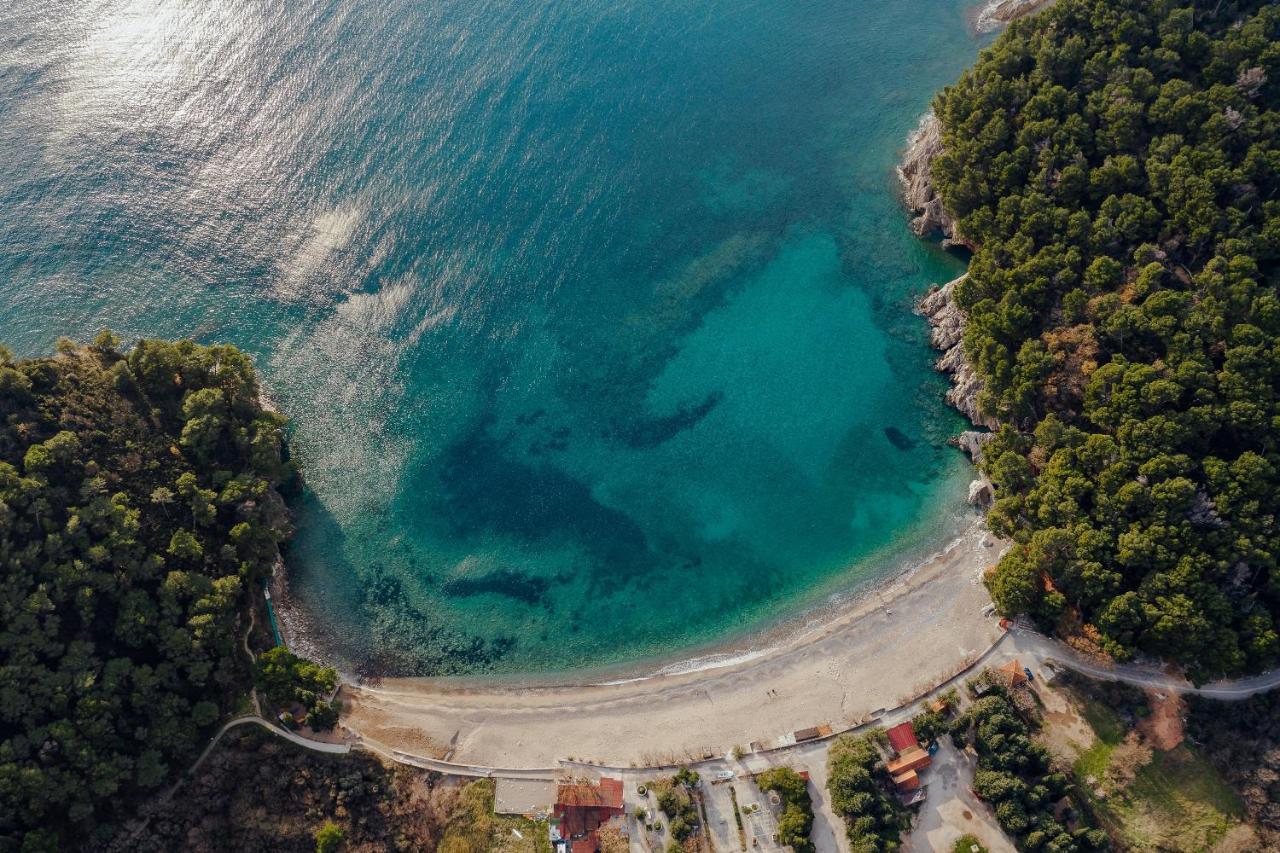 Palm Point Apartment Petrovac エクステリア 写真